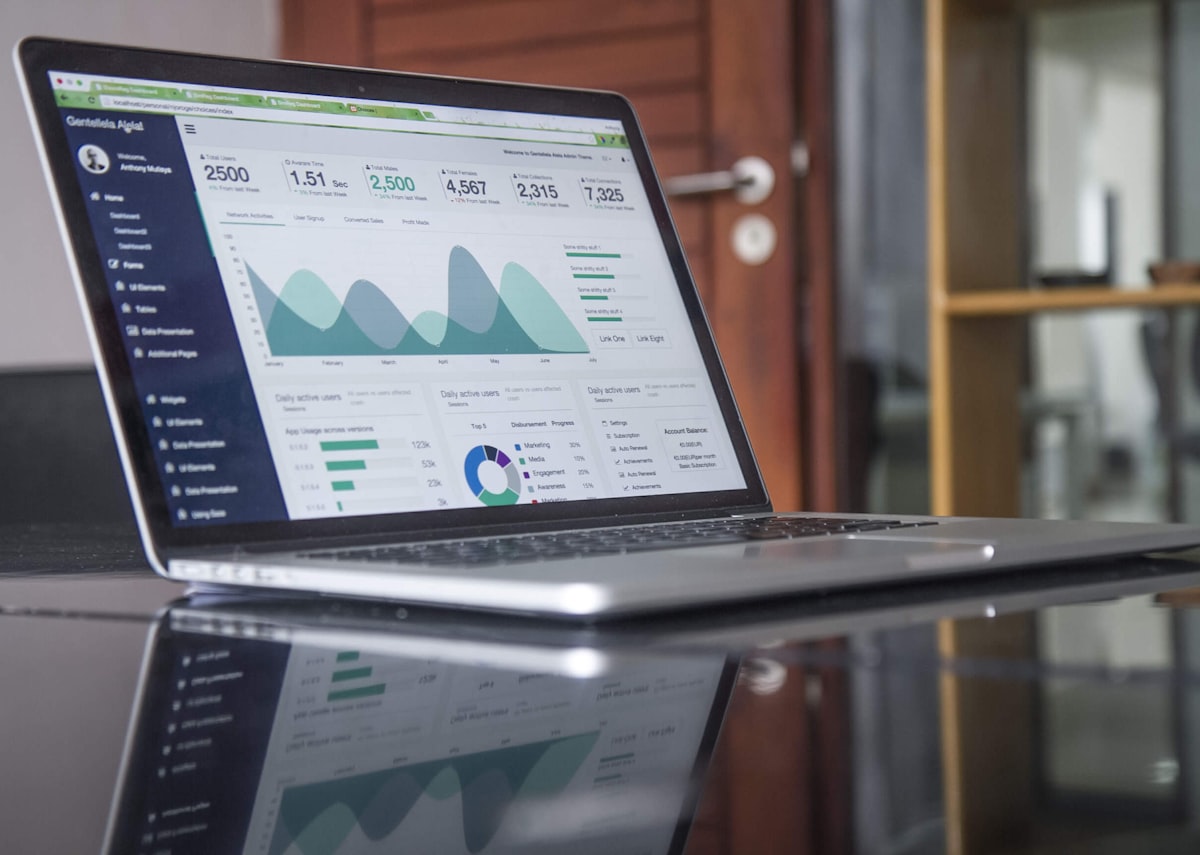 Business analytics and SEO growth